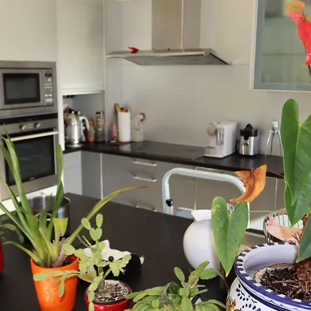 Charming Swiss Village With Pool Apartman Chateau-d'Oex