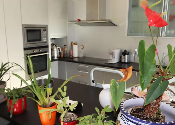 Charming Swiss Village With Pool Appartement Chateau-d'Oex