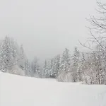 Charming Swiss Village With Pool Chateau-d'Oex