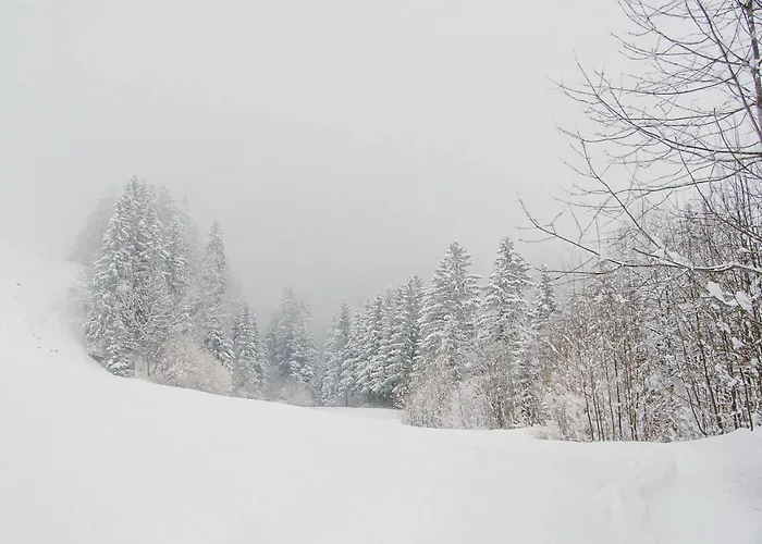 Charming Swiss Village With Pool Chateau-d'Oex